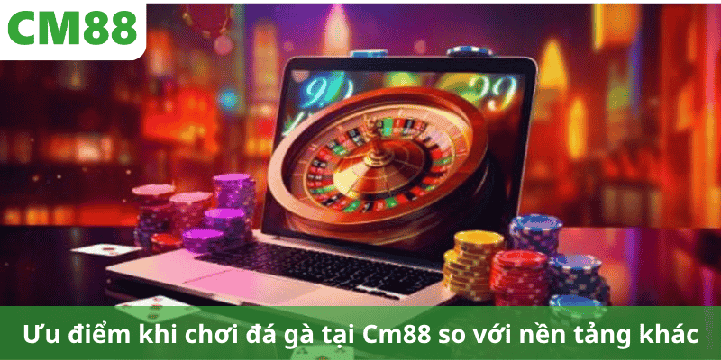 Ưu điểm khi chơi đá gà tại Cm88 so với nền tảng khác